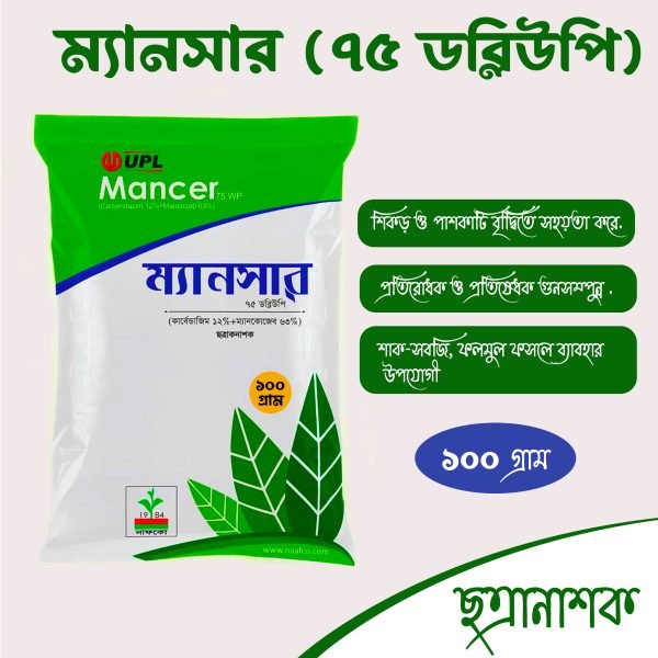 ম্যানসার ১০০ গ্রাম