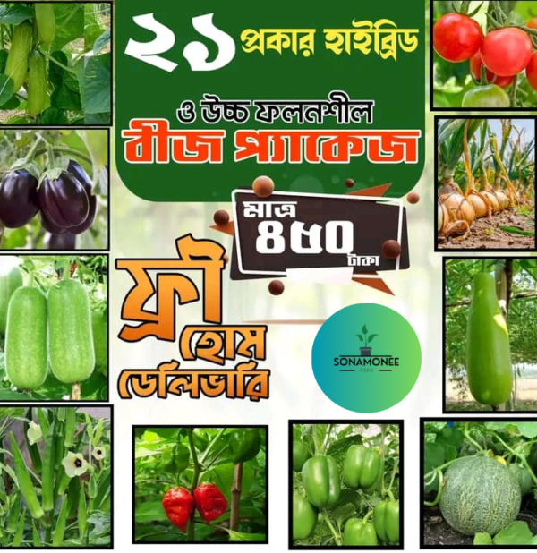 ২১ পিস বিজের কম্ব প্যাকেজ