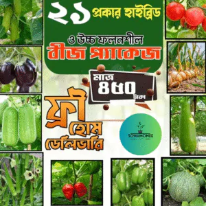 ২১ পিস বিজের কম্ব প্যাকেজ