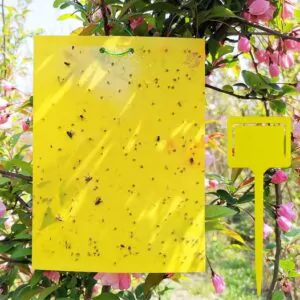 Yellow Sticky TRAP 10 PCS