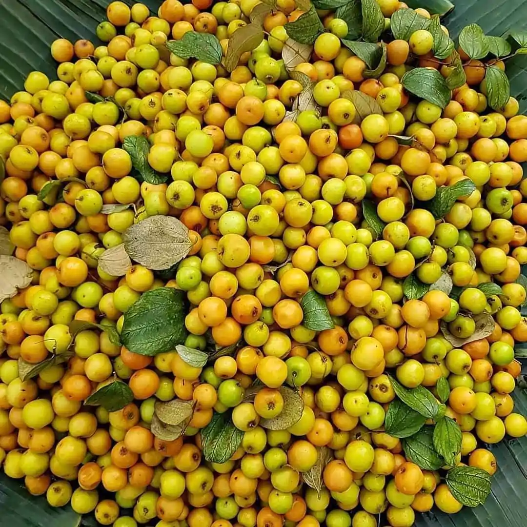 বারোমাসি টক মিষ্টি বরই ২ পিচ