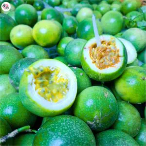 আনার কলি ফলের চারা ৩ পিচ